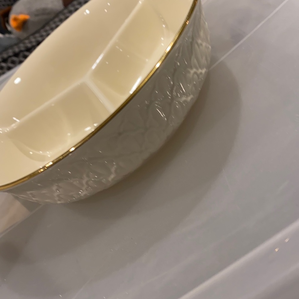 Lenox divided snack server